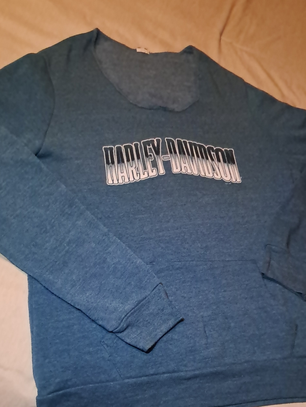 Harley-Davidson Womens Teal Blue Pullover Sweatshirt